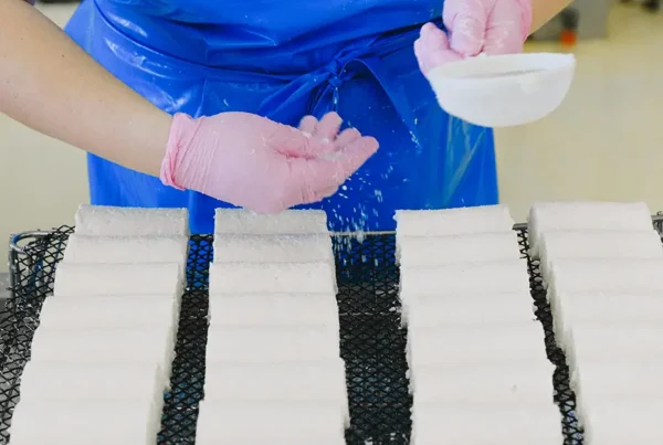 separator tłuszczu dla branży spożywczej